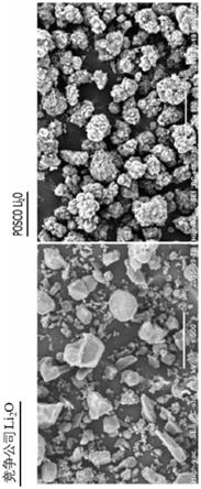 锂化合物、基于镍的正极活性物质、氧化锂的制备方法、基于镍的正极活性物质的制备方法，以及利用其的二次电池与流程