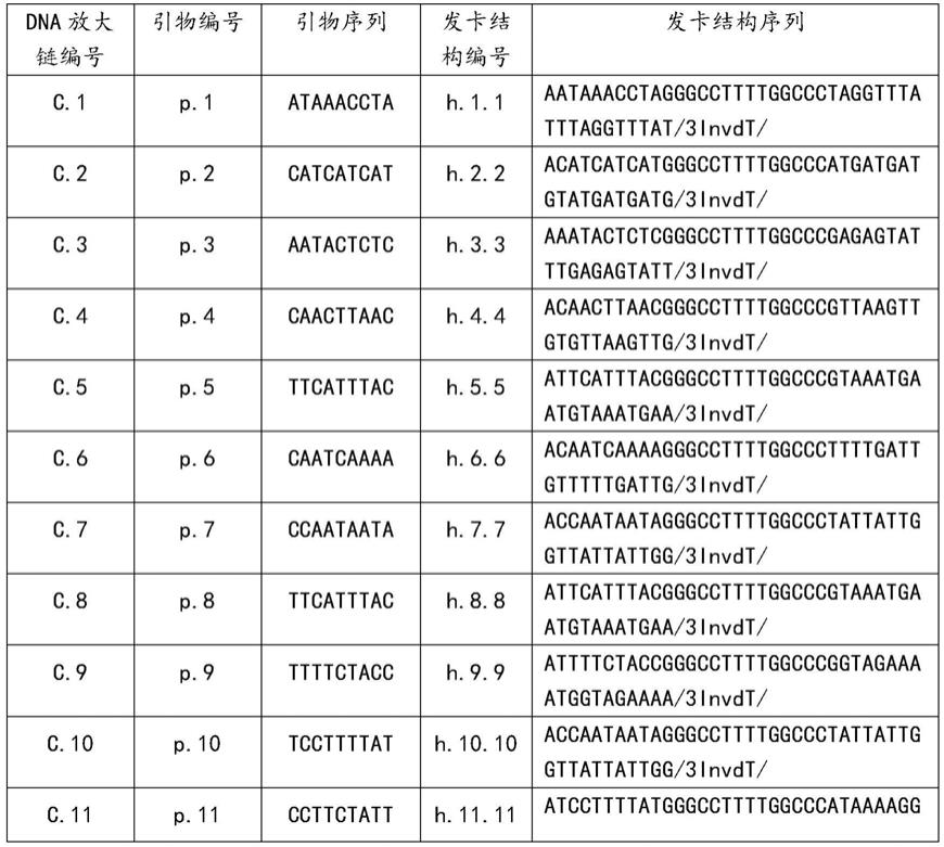 一种多重信号放大系统及其在组织细胞病理检测中的应用的制作方法