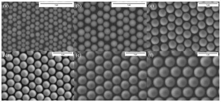一种基于纳米球模板无光刻制备周期性垂直定向多壁碳纳米管阵列的方法与流程