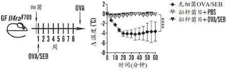 用于治疗和/或预防生态失调的治疗性微生物群的制作方法