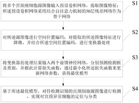 基于注意力机制及检测变换器的宫颈细胞检测与识别方法与流程