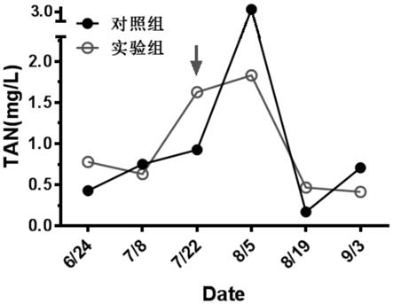 一株适用于盐碱养殖水体的氨氮降解菌及其使用方法与流程