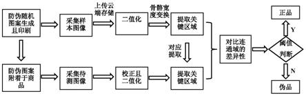 一种基于骨骼宽度变换统计差异的防伪认证方法