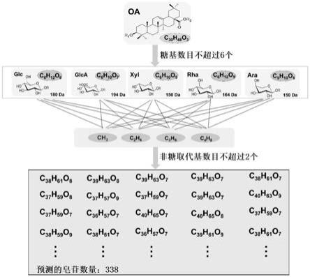 人参属中药皂苷成分的分类鉴定方法及其应用