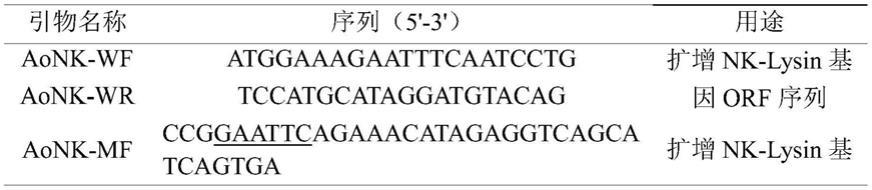 一种公子小丑鱼抗菌肽NK-Lysin成熟肽蛋白及其表达和应用的制作方法