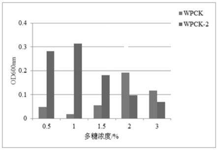 一种郁金多糖在调控益生菌增殖方面的应用