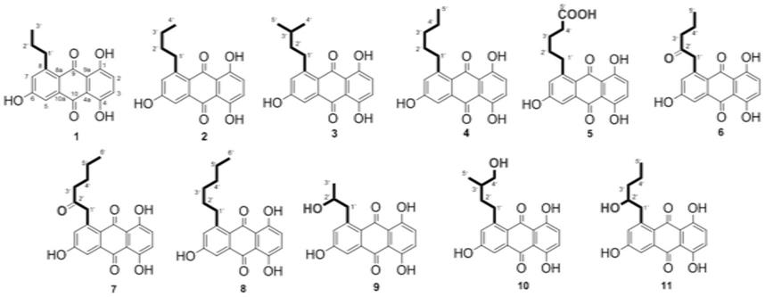 1,4,6-三羟基-8-支链-9,10-蒽醌类化合物及在制备抑菌剂中的应用的制作方法