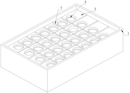 一种具有分类作用的诊断试剂盒的制作方法