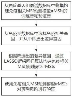 基于免疫相关基因的MSI预测模型构建方法与流程