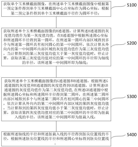 玉米横截面参数测量方法、系统、电子设备及可存储介质与流程