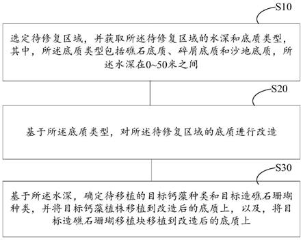 一种基于珊瑚多样性和环境适应性的珊瑚修复方法