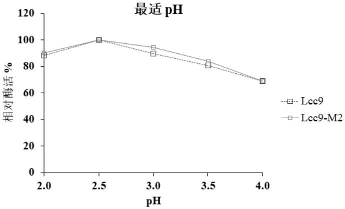 提高漆酶催化活性的方法及突变体Lcc9-M2、基因和应用