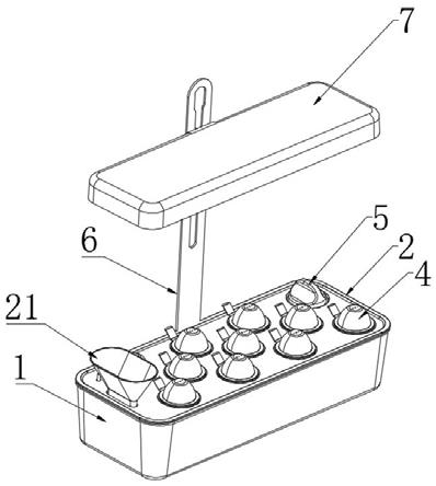 一种水培种植装置的制作方法