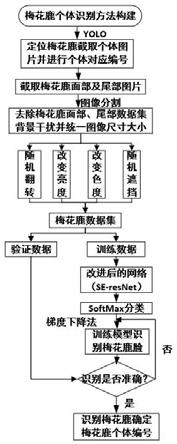 一种基于改进卷积神经网络的梅花鹿面部识别方法