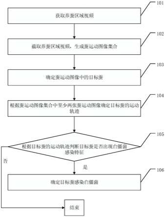 一种基于视频数据的僵化蚕的检测方法及系统与流程