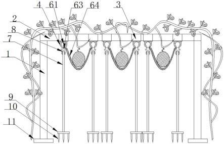 一种用于西瓜悬吊的栽培藤架的制作方法