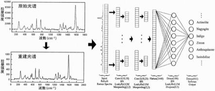 一种用于拉曼光谱学的基于多项式重建算法的CNN迁移学习方法