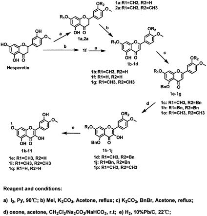 黄酮类化合物及其合成方法和用途