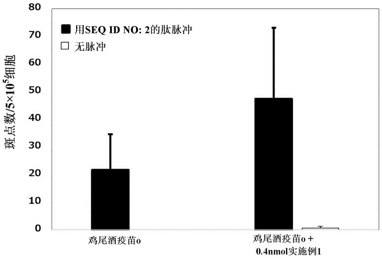 水溶性佐剂的制作方法