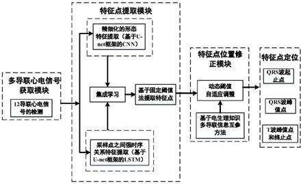 一种结合深度学习和电生理知识的多导联心电信号特征点提取方法