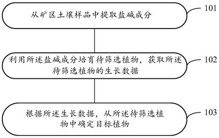 一种耐盐碱植物的筛选方法与流程