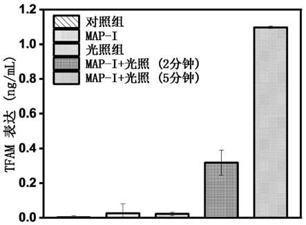 一种诱导免疫原性细胞死亡的光敏剂及其制备方法和应用