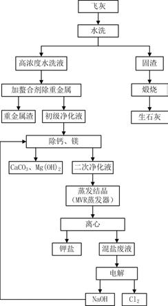 飞灰水洗液的资源回收工艺的制作方法