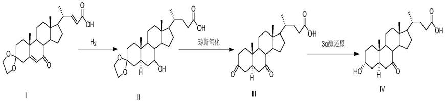 一种植物源7-酮基石胆酸异构体杂质的制备方法与流程