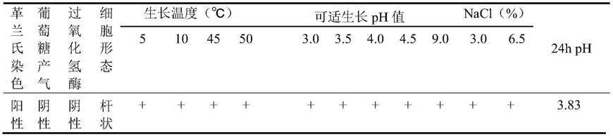 一株可降解单宁的植物乳杆菌及其应用