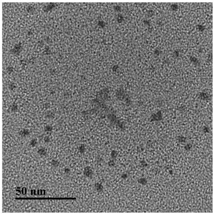 一种提高玉米生长、产量和品质的纳米生物调控方法