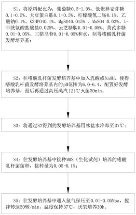 一种高效免疫调节微生态制剂的制备及应用的制作方法