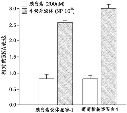 包含源自牛奶的外泌体作为有效成分的用于治疗代谢性疾病的药物组合物