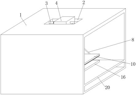 动物挤压伤模型构建装置