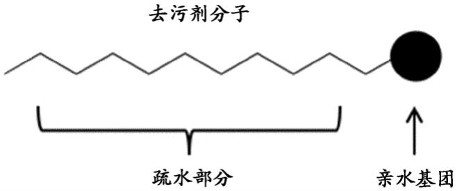 从水中去除PFAS的方法与流程