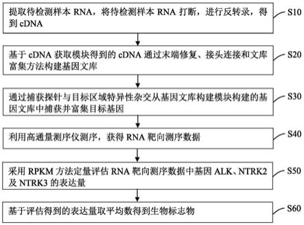 用于预测晚期食管癌患者抗EGFR靶向治疗疗效的生物标志物及疗效预测试剂盒的制作方法