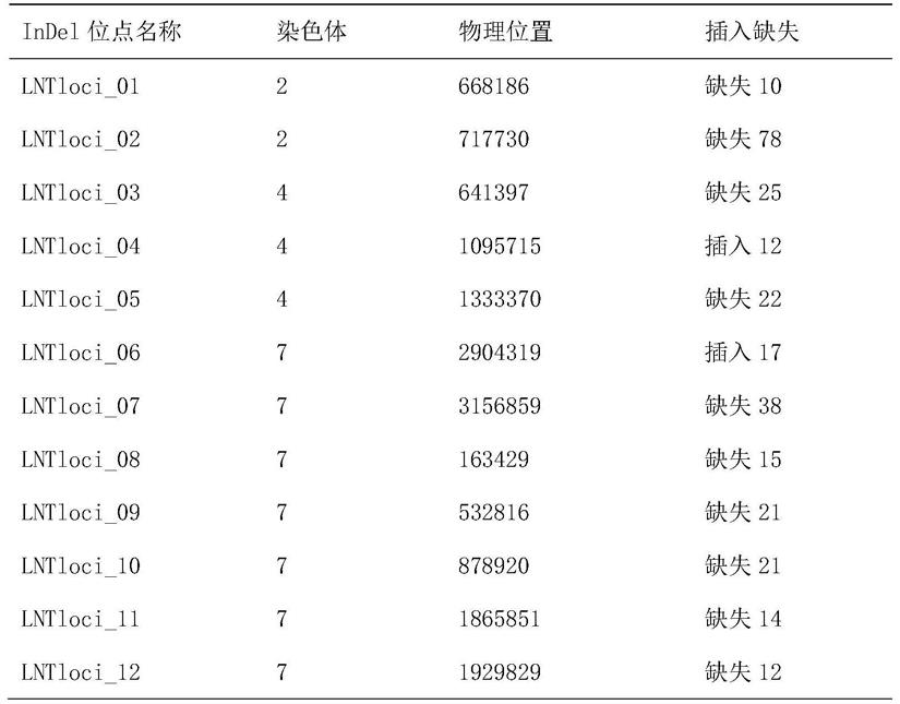 一种用于香菇高多糖菌株早期筛选的Indel标记组合及其检测方法