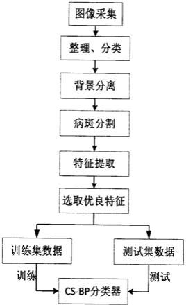 一种基于布谷鸟搜索算法的番茄病害识别方法