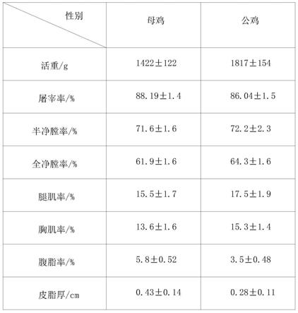 一种淮南麻黄鸡配套系的制种方法与流程