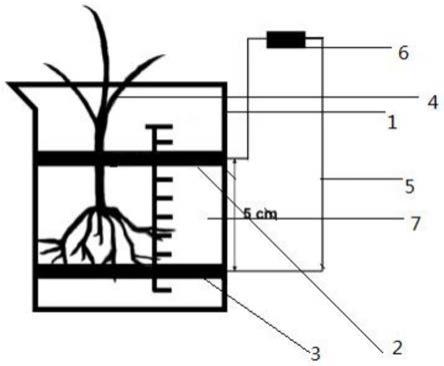 一种利用植物微生物燃料电池技术修复受多环芳烃污染土壤的方法