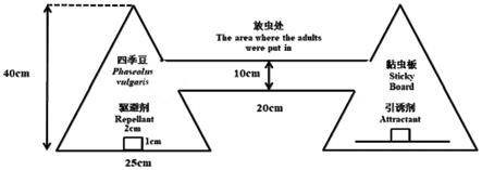 植物源引诱剂和/或驱避剂在防治害虫中的应用