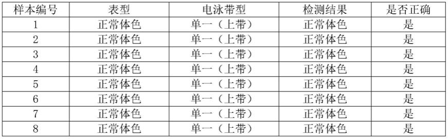 快速鉴定携带红色突变等位基因的黄河鲤的方法与流程