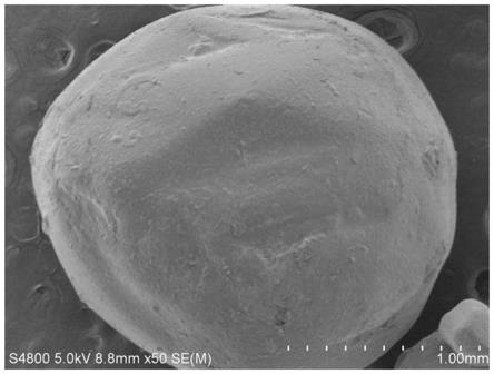 疏水改性生物基包膜控释肥料及制备方法