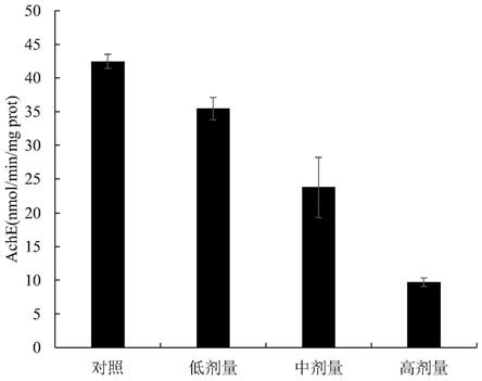 一种毒杀线虫的药物