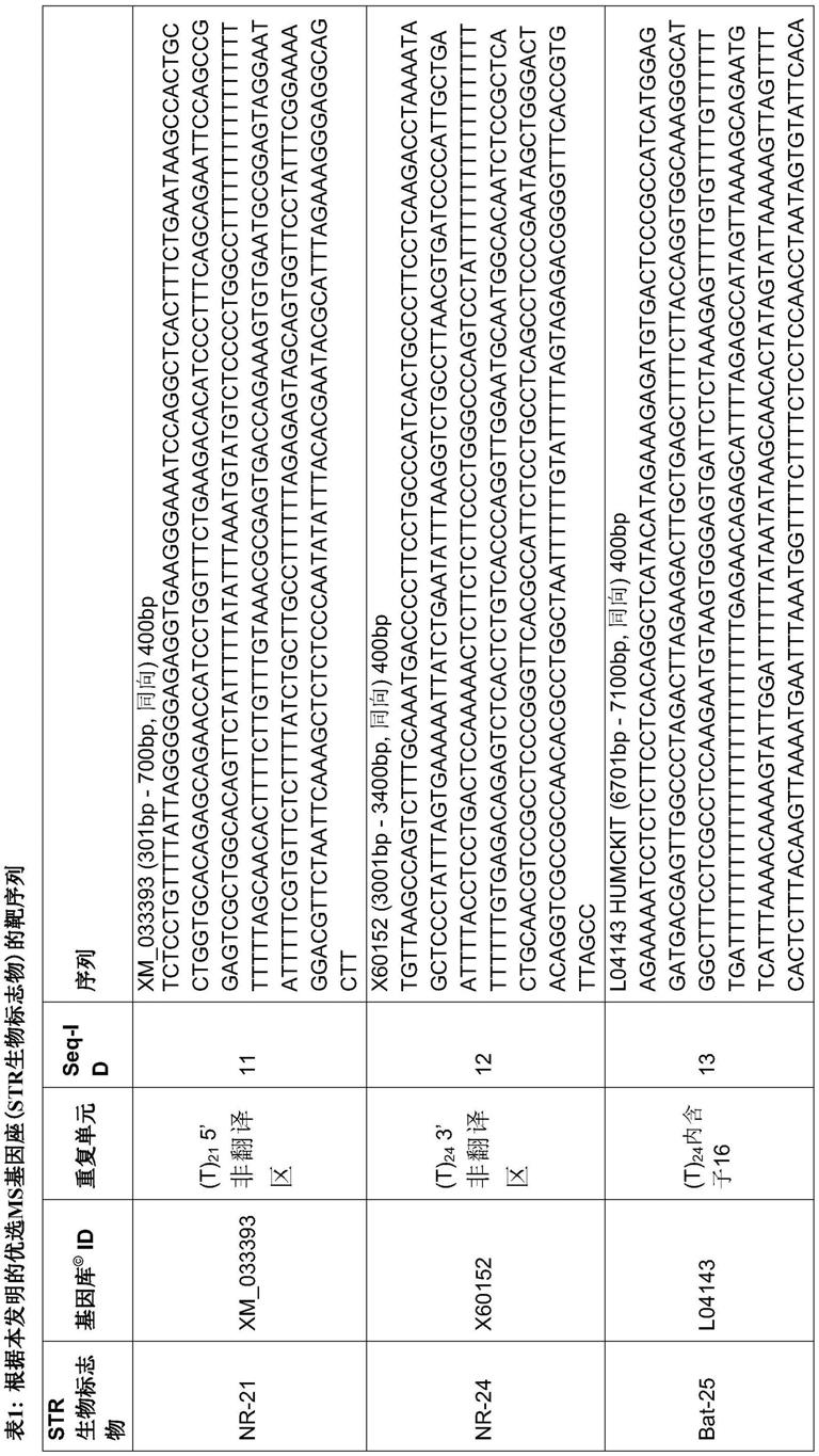 通过毛细管电泳(CE)DNA图谱对微卫星进行的比较分析的制作方法