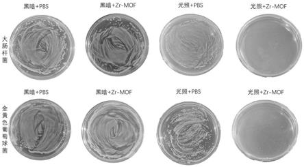 一种Zr-MOF纳米材料在制备光催化抗菌材料中的应用的制作方法