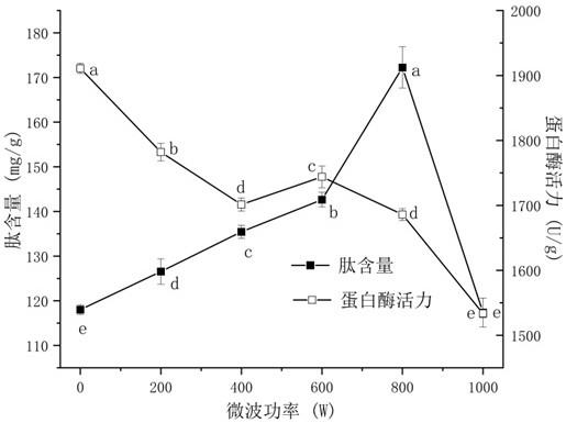 一种微波辅助金属离子富集麦胚多肽的方法及其产物