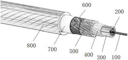 密封防腐型承荷探测光缆的制作方法