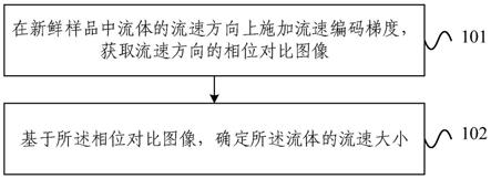 流速测量方法、装置及存储介质与流程