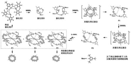 分子内三官能团路易斯酸碱对催化剂、环状拓扑结构PMMBL聚合物及制备方法和应用