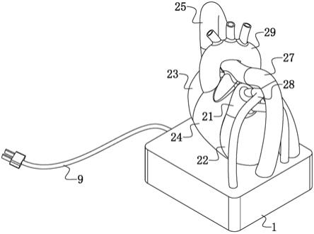 一种模拟心脏循环过程的教学用教具模型的制作方法